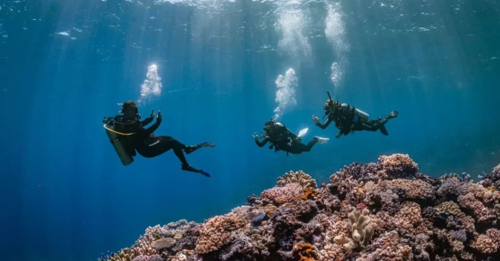 scuba diving and snorkeling destinations best places to explore