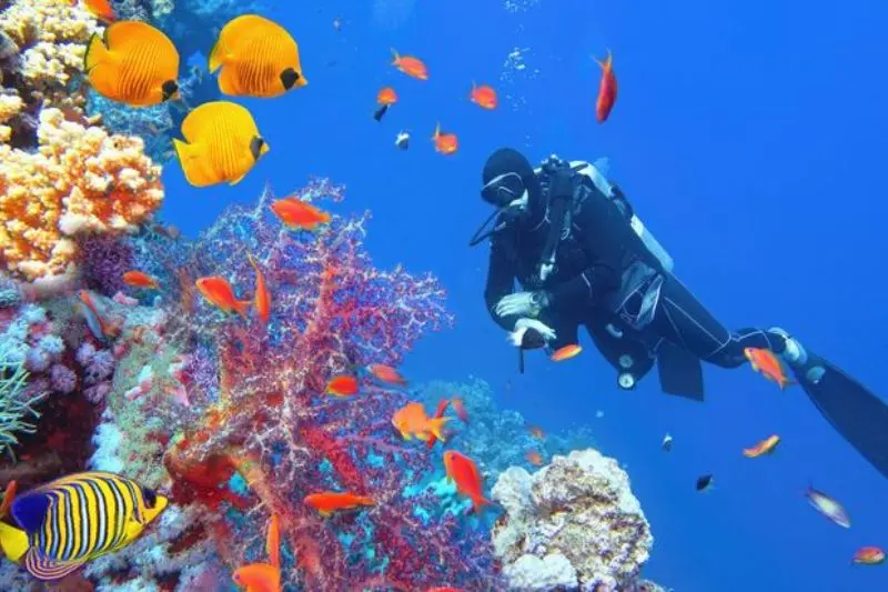 why is scuba diving and snorkeling destinations important